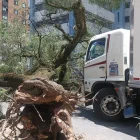 El incidente ocurrió en la av. República de El Salvador y Suecia, en el norte de Quito.