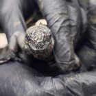 Las 32 iguanas marinas de Galápagos fueron rescatadas en el aeropuerto de Quito cuando presuntamente intentaban sacarlas ilegalmente del país.
