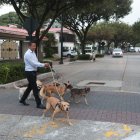 Ceibos un lugar comercial que armoniza su convivencia
