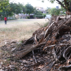 El parque Antonio Neumane tiene diversidad de flora y fauna, pero sus instalaciones necesitan mantenimiento y mejoras.