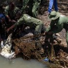 Un equipo del Servicio de Vida Silvestre de Kenia (KWS) capturó un cocodrilo del Nilo con redes en el lago Baringo, el 2 de septiembre de 2026.