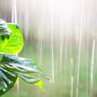 Referencial.Varias ciudades del país amanecen con lluvias este lunes, según el pronóstico del Inamhi.