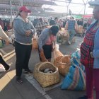 El mercado América en Tunguahua donde se venden una variedad de animales.