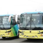 La Troncal 4 incorporará 19 nuevos buses para reforzar su operación y ampliar la capacidad de sus rutas alimentadoras en Guayaquil.