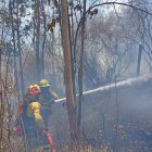 Bomberos Quito controlaron un incendio forestal registrado este sábado 12 de septiembre en el sector de El Quinche.
