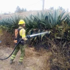 En San Juan de Chuspiyacu, en Tumbaco, se registró un incendio forestal, Días después ocurrió otra emergencia por una quema de follaje.