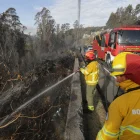 El incendio en La Vicentina afectó a cinco hectáreas de vegetación.