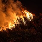 La emergencia registrada en La Vicentina generó una columna de humo visible desde varios sectores de Quito durante la jornada.