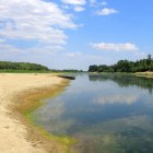 Bajo nivel del río Danubio a su paso por la localidad de Roseti, en Rumanía, en una imagen de principios de agosto.