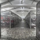 Jaulas metálicas como "zonas de calma" para los migrantes detenidos en Alligator Alcatraz, antes de su cierre este verano en el sur de Florida.