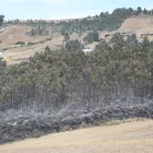 En una zona del cerro Casitagua el fuego ta fue controlado. En el sector norte las llamas siguen.