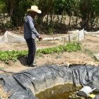 Jesús Rodríguez muestra un agujero artesanal donde almacenan la poca agua de lluvia que cae debido a la sequía en El Jícaro (Guatemala).