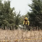 Imagen referencial. Fotografía de un incendio forestal en el sector de Catzuquí de Moncayo, en el norte de Quito.