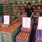 Los precios de huevos está determinado por el tamaño, la marca y las condiciones de crianza.