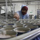 La industria del atún está afectada por la escasez del pescado, por el calentamiento del mar.