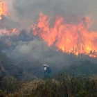 El incendio forestal en el cerro Casitagua es el que más afectaciones ha dejado hasta la fecha.