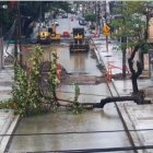 Un árbol cayó sobre una calle en la ciudadela La Atarazana, en el norte de Guayaquil, la mañana de este miércoles 23 de septiembre
