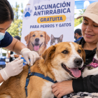 Referencia. Perros y gatos mayores de tres meses podrán recibir gratuitamente la vacuna antirrábica durante la jornada nacional que recorrerá Ecuador.