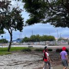 El parque lineal de la calle Portete es utilizado por vecinos para caminar y pasear a sus mascotas, aunque algunos moradores cuestionan la seguridad y el estado del espacio.