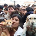 Familias quiteñas podrán acudir con sus mascotas a la tradicional bendición que se realizará en la Plaza de San Francisco este sábado especial.