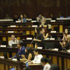 La legisladora de ADN Diana Jácome fue la encargada de presentar el informe ante el Pleno de la Asamblea.