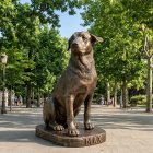 La escultura de Max rendirá homenaje al perro comunitario que se convirtió en un personaje querido de la Escuela Politécnica Nacional.