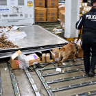 El can detector BECKY alertó sobre una encomienda que contenía cocaína oculta en fundas de chocolate con destino a Países Bajos.