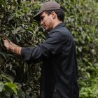 Una cultura alrededor del café de especialidad