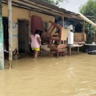En Muisne se reportan 800 familias afectadas, casas destruidas y cultivos bajo el agua.