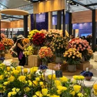 Expoflores advirtió que la informalidad abarca 1.200 hectáreas productivas y representa un riesgo para las exportaciones de flores ecuatorianas.