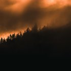 La Secretaría Nacional de Gestión de Riesgos aseguró que monitoreaba la situación de los incendios forestales en Ecuador.