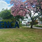 La Universidad de Cuenca decidió defender la autonomía de la institución ante la exigencia de la ministra de Educación para despedir y sancionar a un docente de la Facultad de Filosofía.