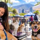 Perros y gatos podrán recibir atención veterinaria y encontrar un hogar en las ferias organizadas por la Unidad de Bienestar Animal de Quito.