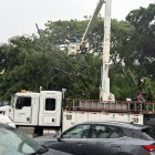 La caída de un árbol de gran tamaño afectó el tendido eléctrico en Lomas de Urdesa durante las lluvias de este lunes 19 de octubre.