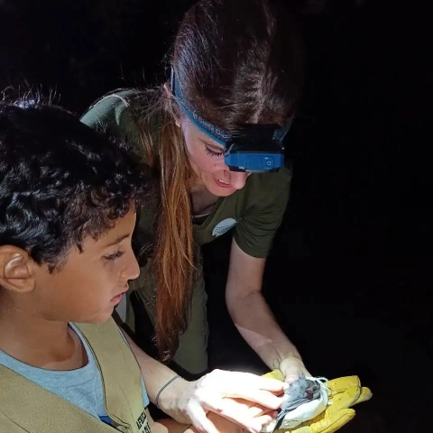 El estudio identificó refugios naturales utilizados por distintas especies de murciélagos dentro de las instalaciones del Jardín Botánico.