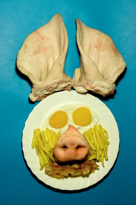 Foto titulada 'Cerdo', de 90 x 60 cm. Con la muestra 'Raw', el artista quiso mostrar la violencia de la producción de carne, dándole un toque más 'estético'.
