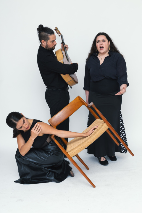 Elenco de ‘La madre del novio’, espectáculo de flamenco inspirado en ‘Bodas de sangre’.