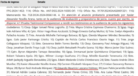 Providencia judicial del 17 de octubre de 2024, donde consta la lista de testigos de Xavier Novillo Arana.