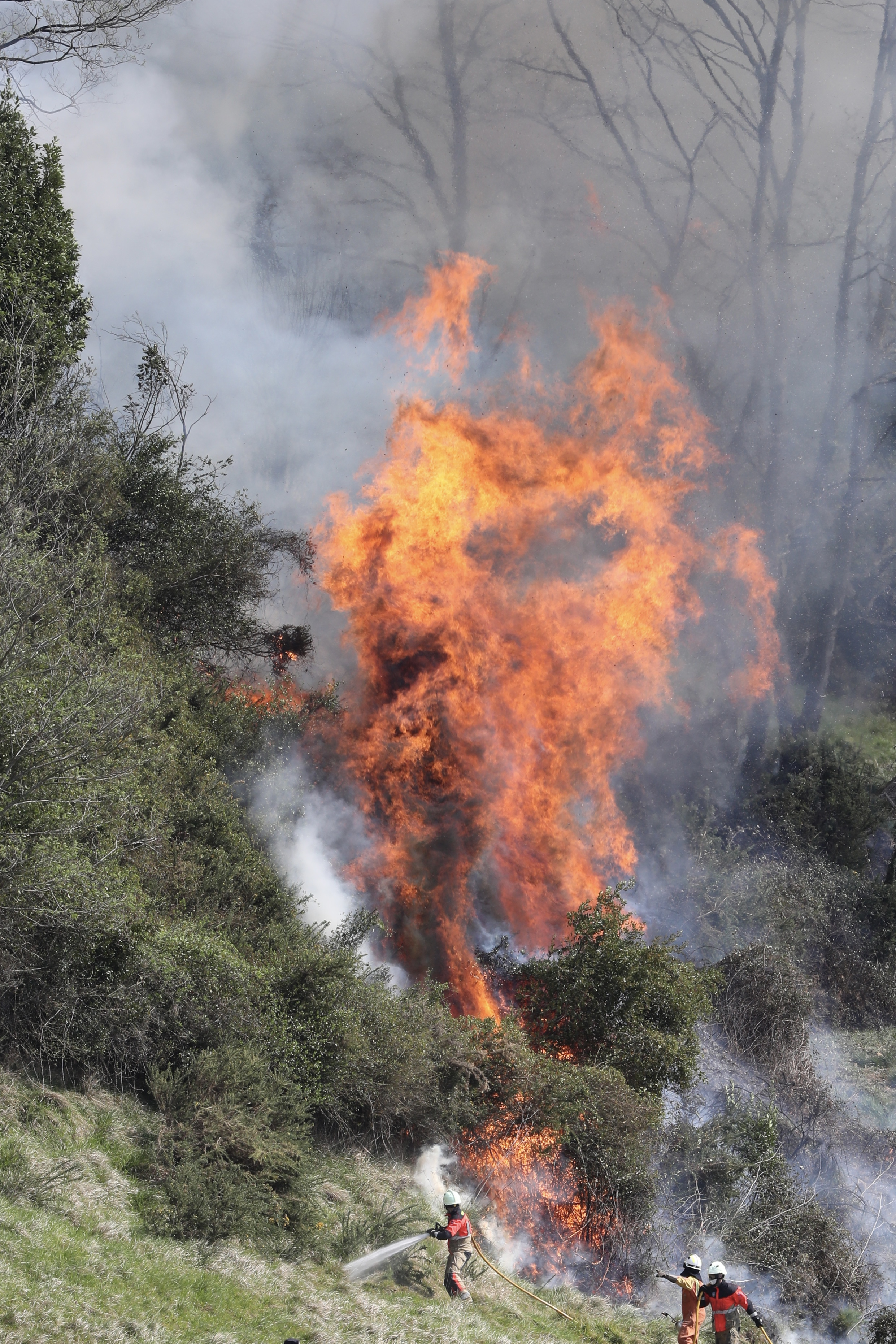 Oleada de incendios provocados en Asturias