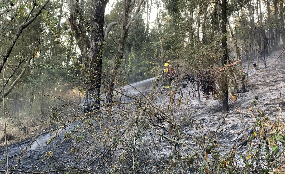 Incendio forestal en El Panecillo fue controlado: realizan labores de ...