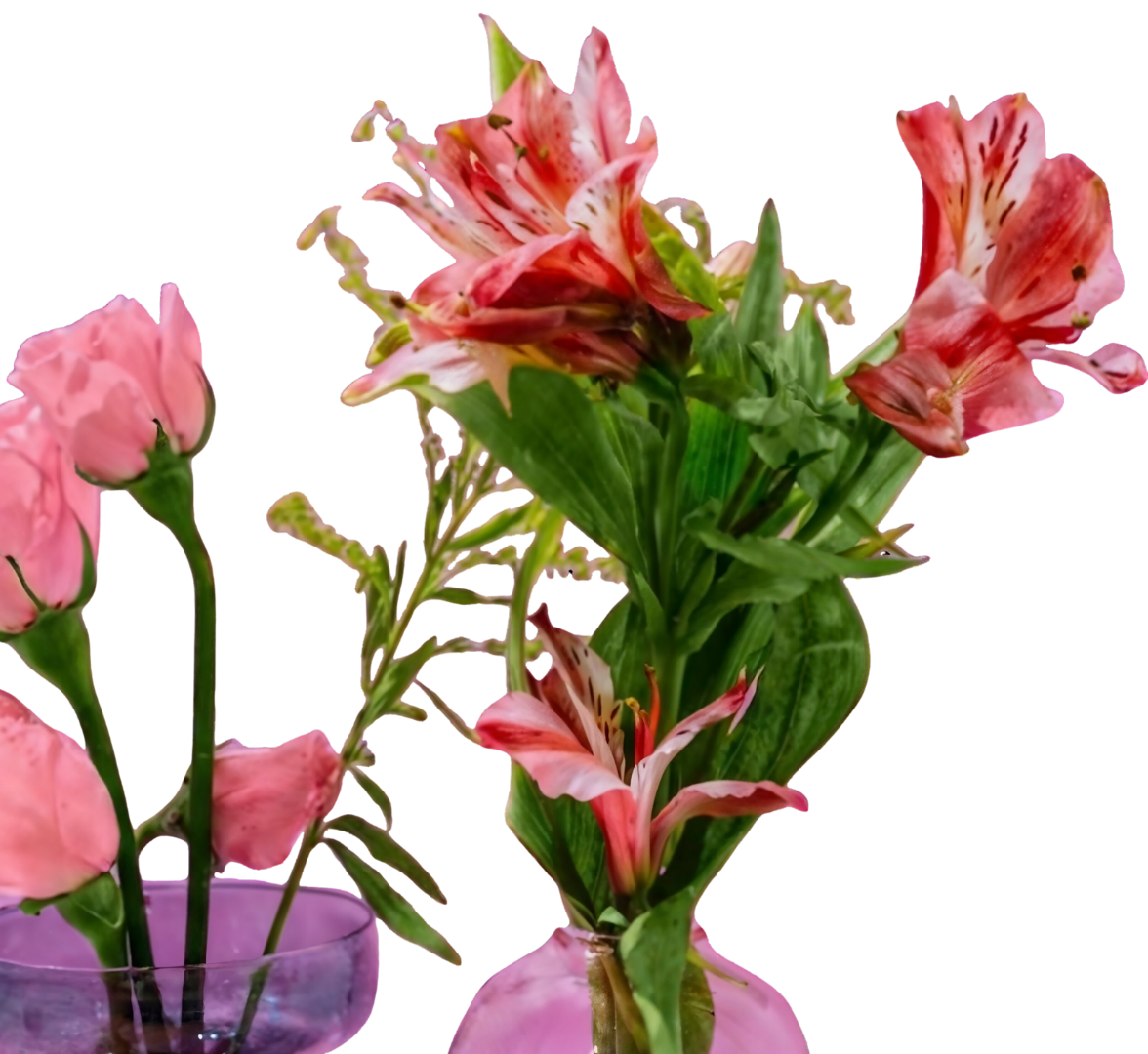 Flores para mamá nunca se va